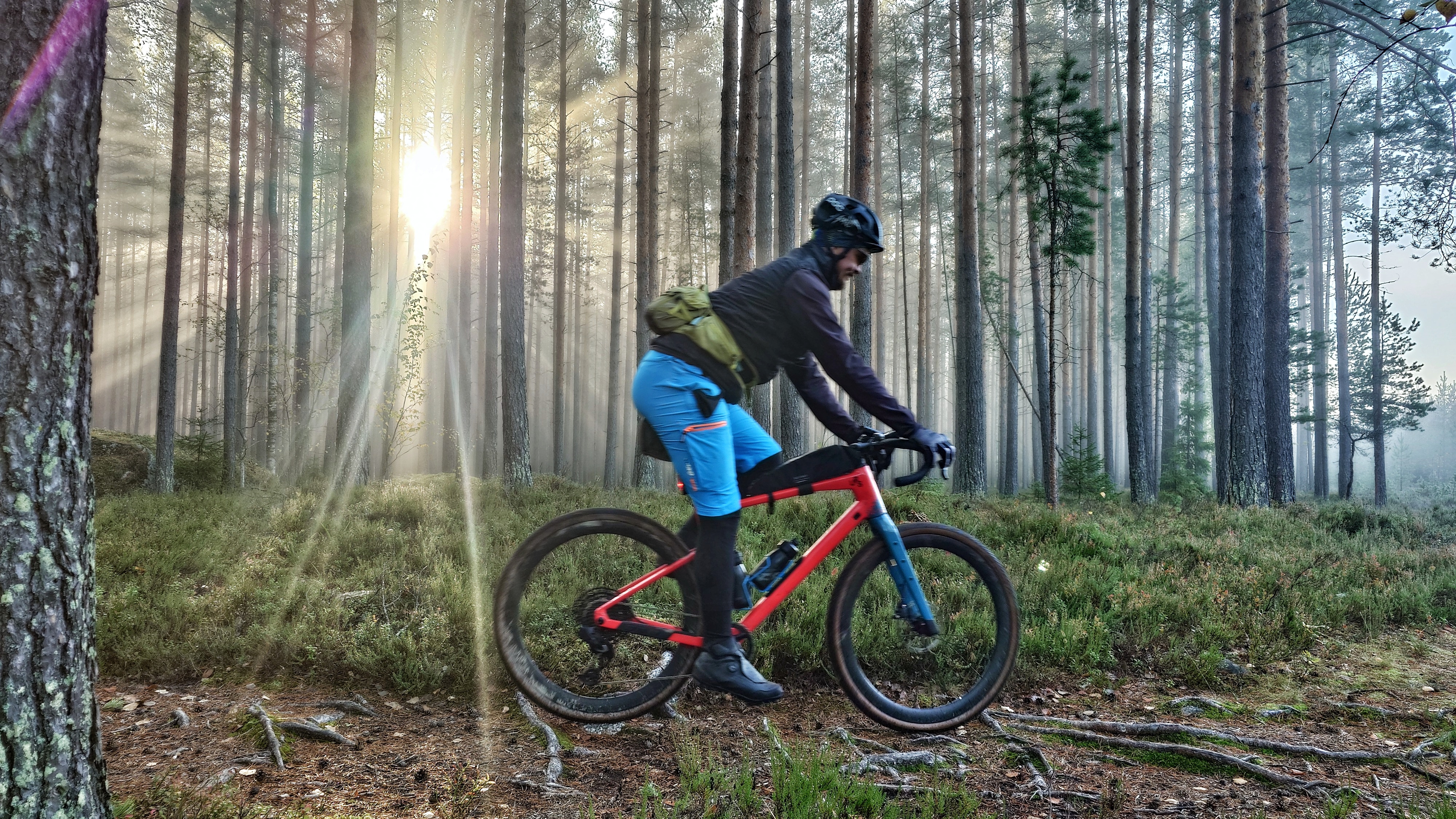 Cyclist on a trail, the sun shining through the trees in the background.