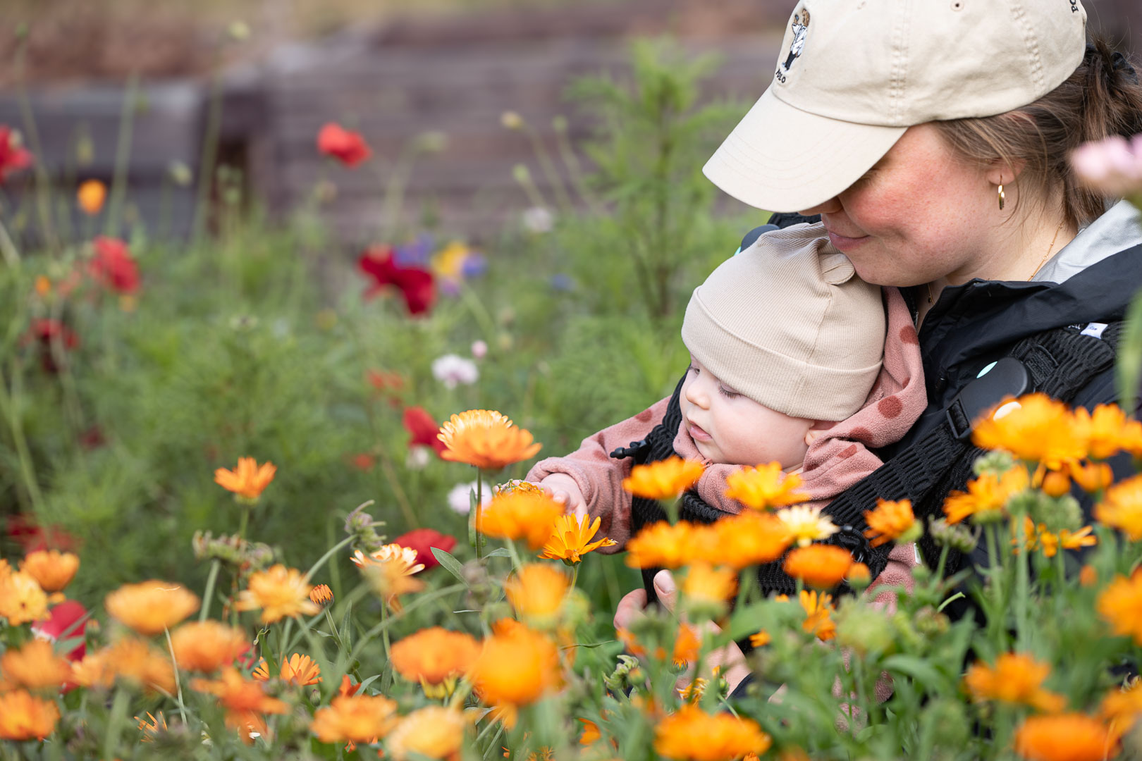 A baby explores a flower meadow.