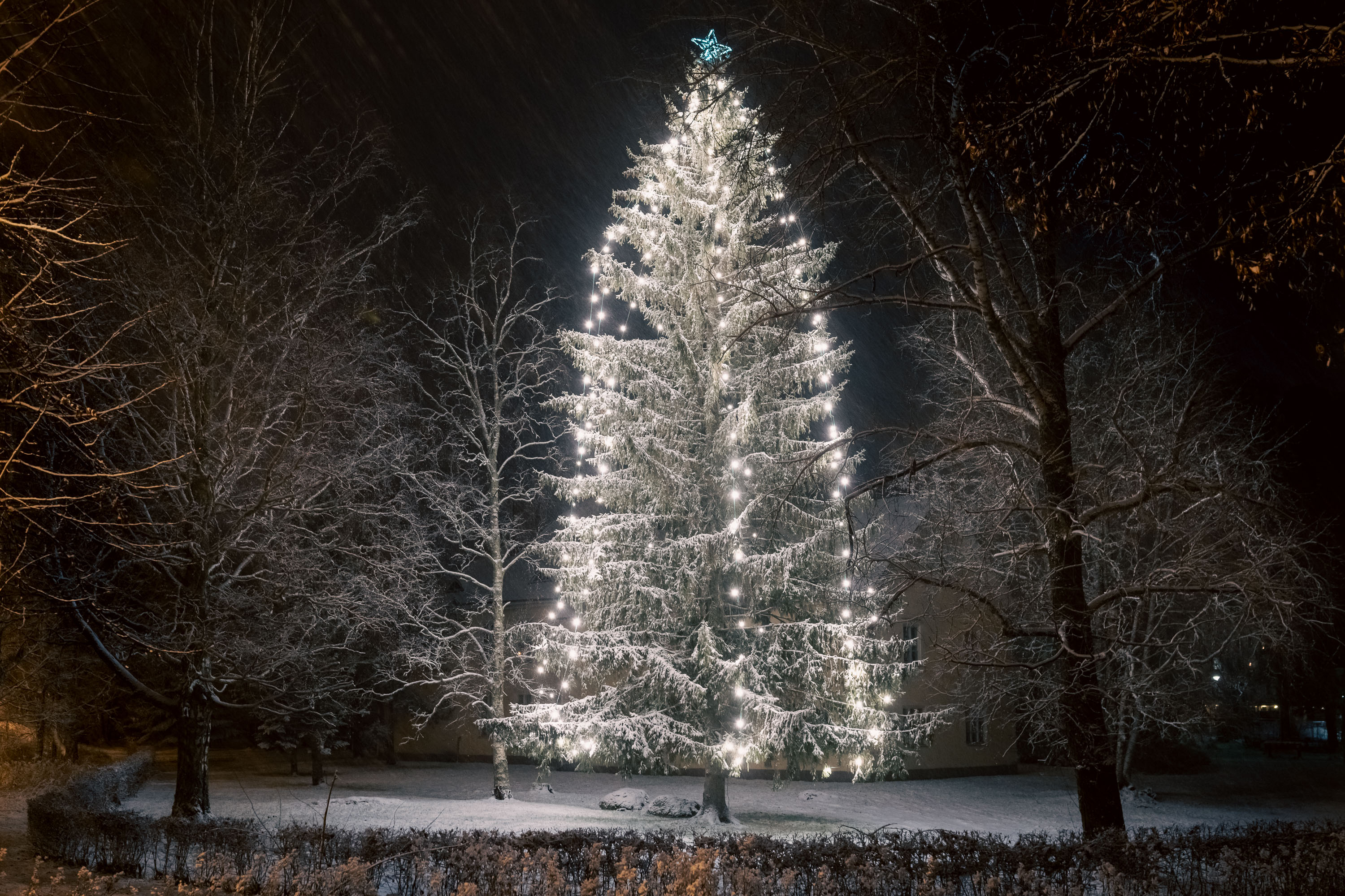 A large Christmas tree in Suolahti, decorated with lights, with a star on top.