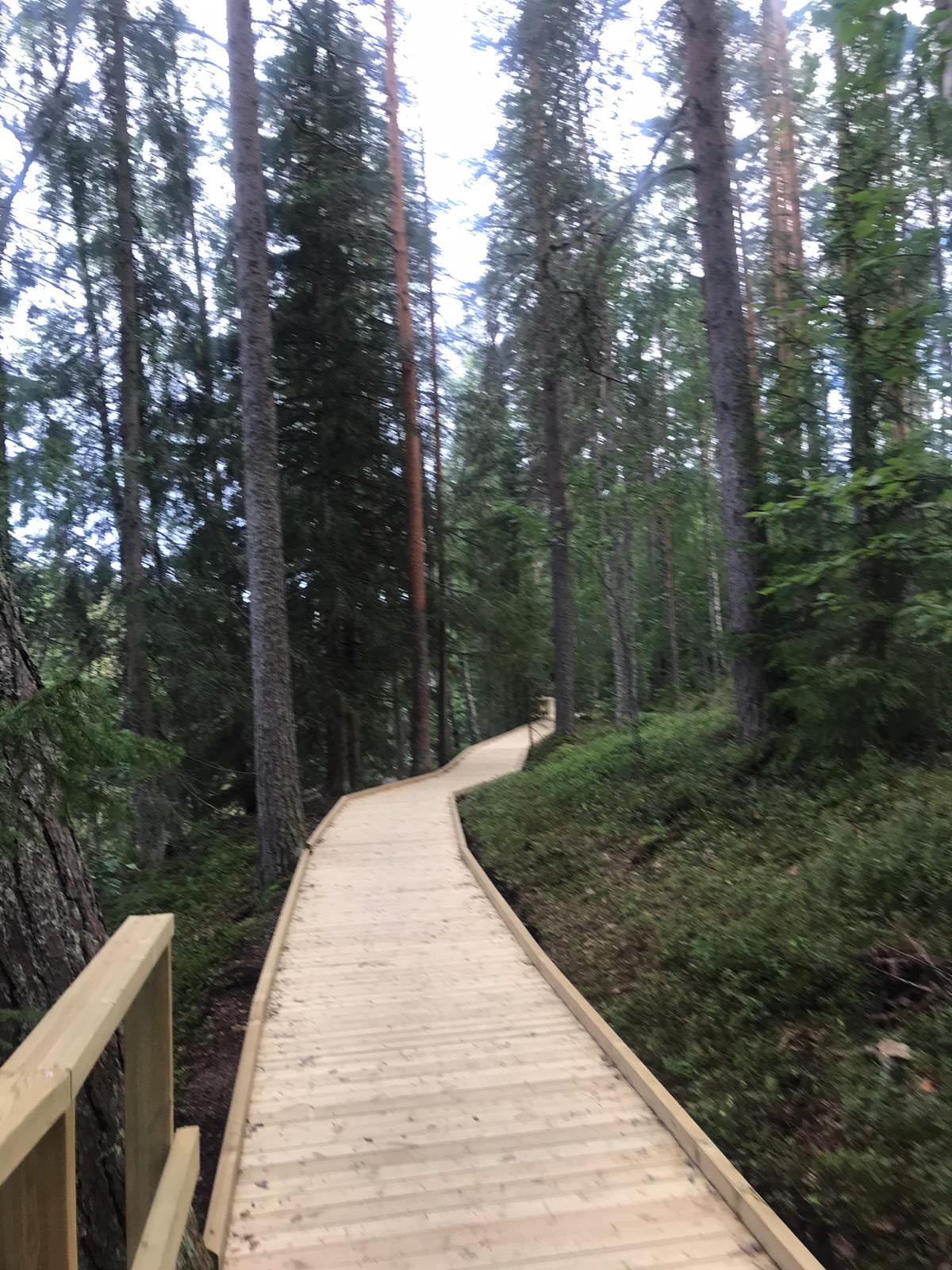 On part of the route there is a new boardwalk that makes it easier to pass. Photo: Anniina