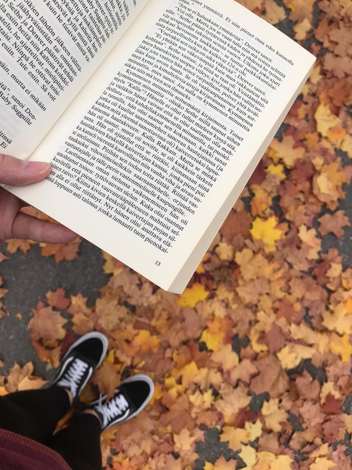 An autumn book find