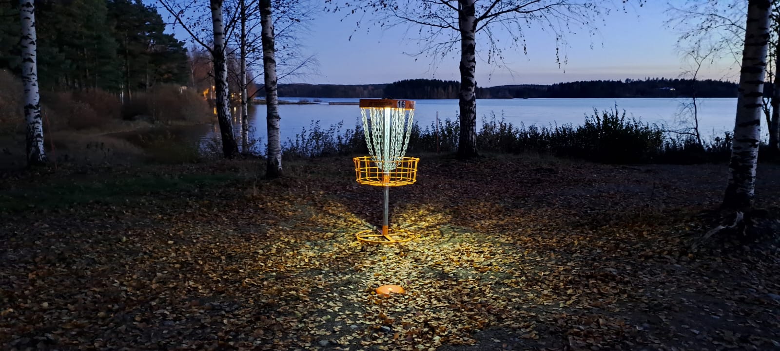 Disc golf basket lit with LED lights