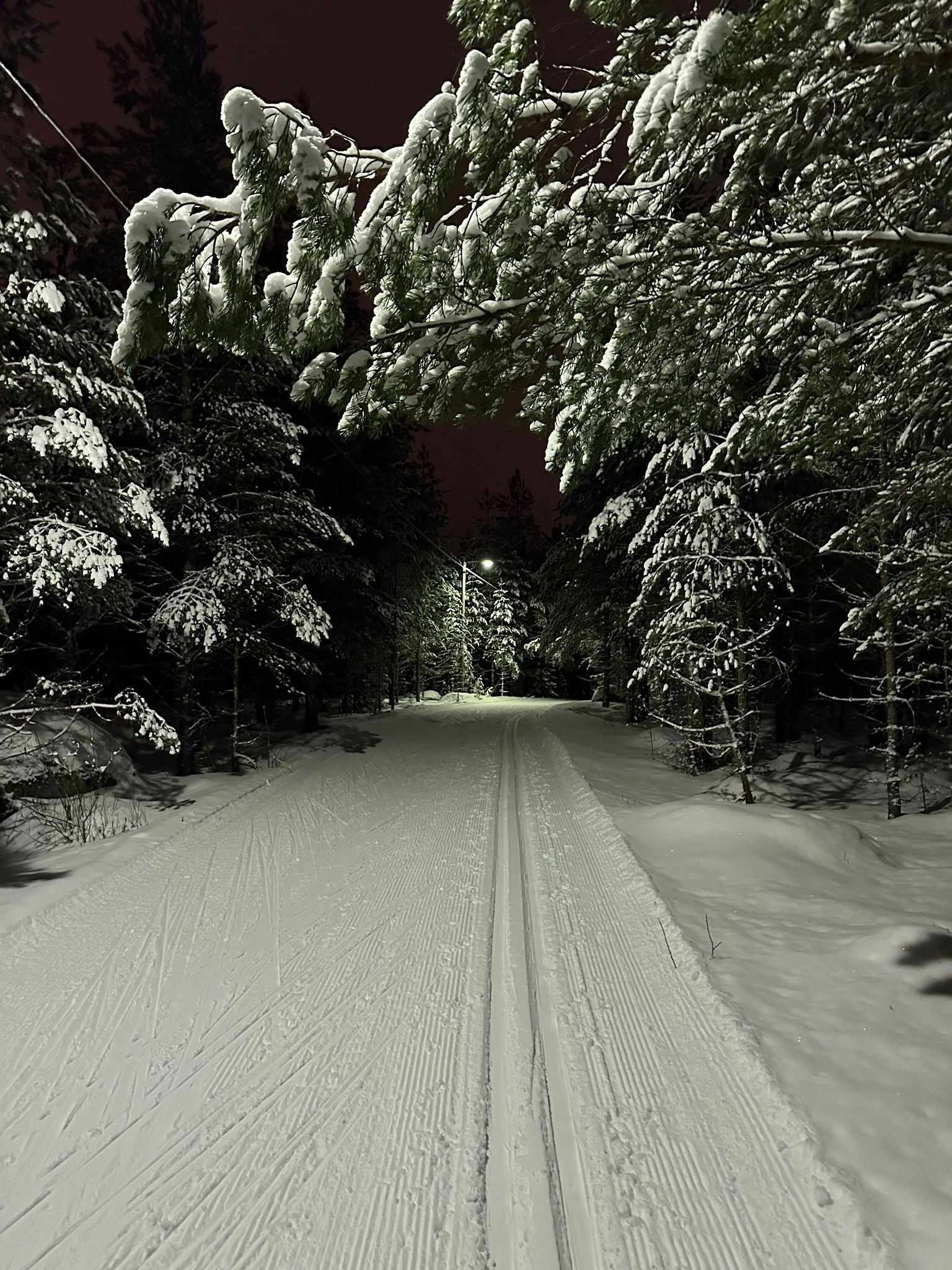 Ski trail at night.