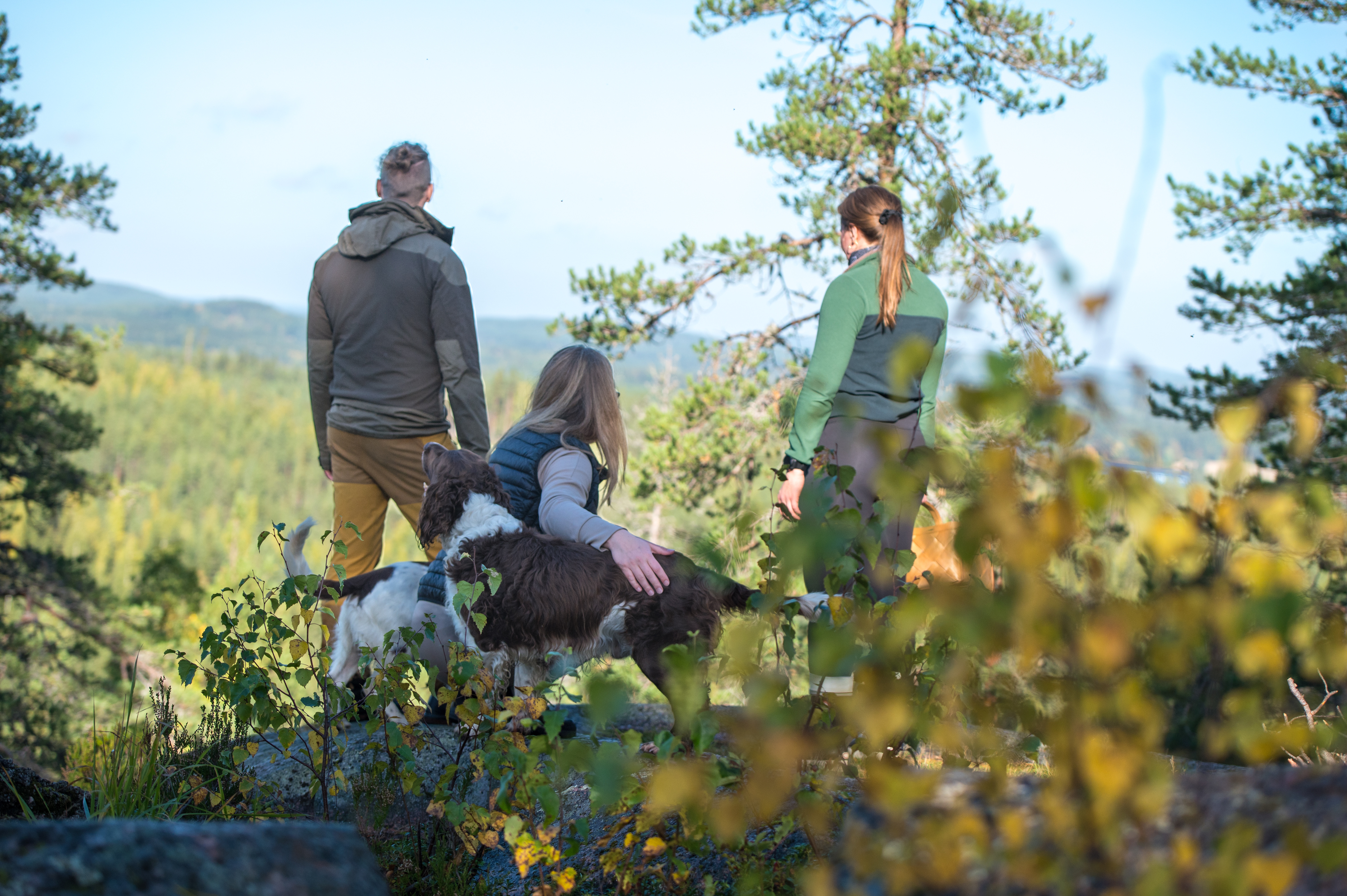 People and dogs at a viewpoint
