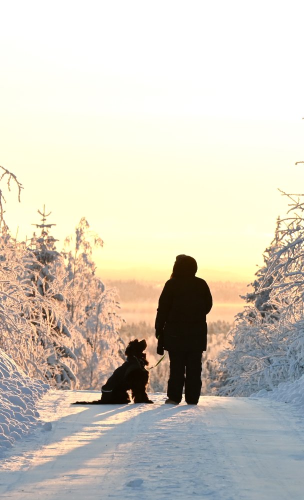 Slow down during the ski holiday in Äänekoski – winter peace and local experiences