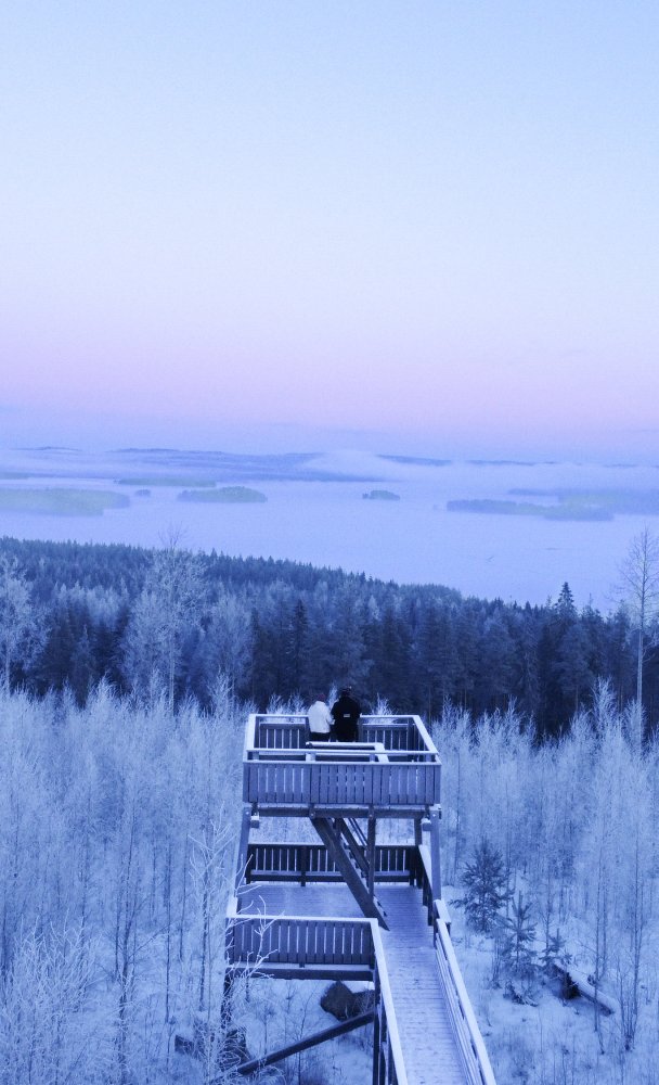 The forest offers opportunities - What can you do in the forest?