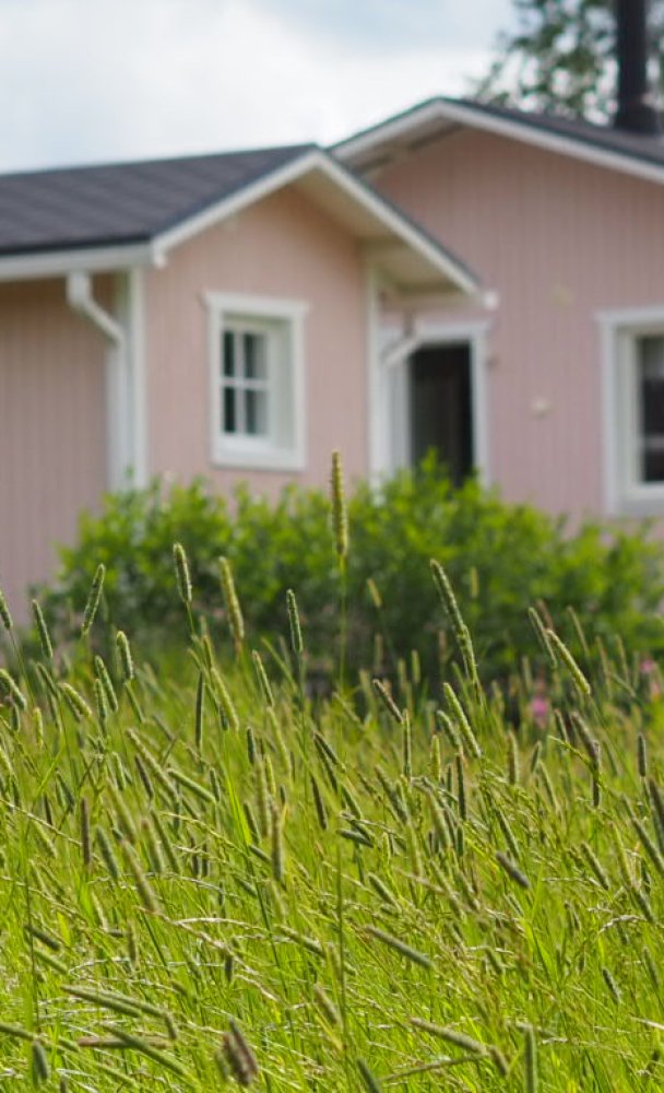 Dream of a Pink Allotment Cottage